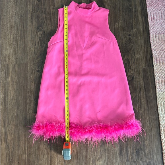 Pink Sleeveless Dress with Feather Trim - Picture 2 of 4